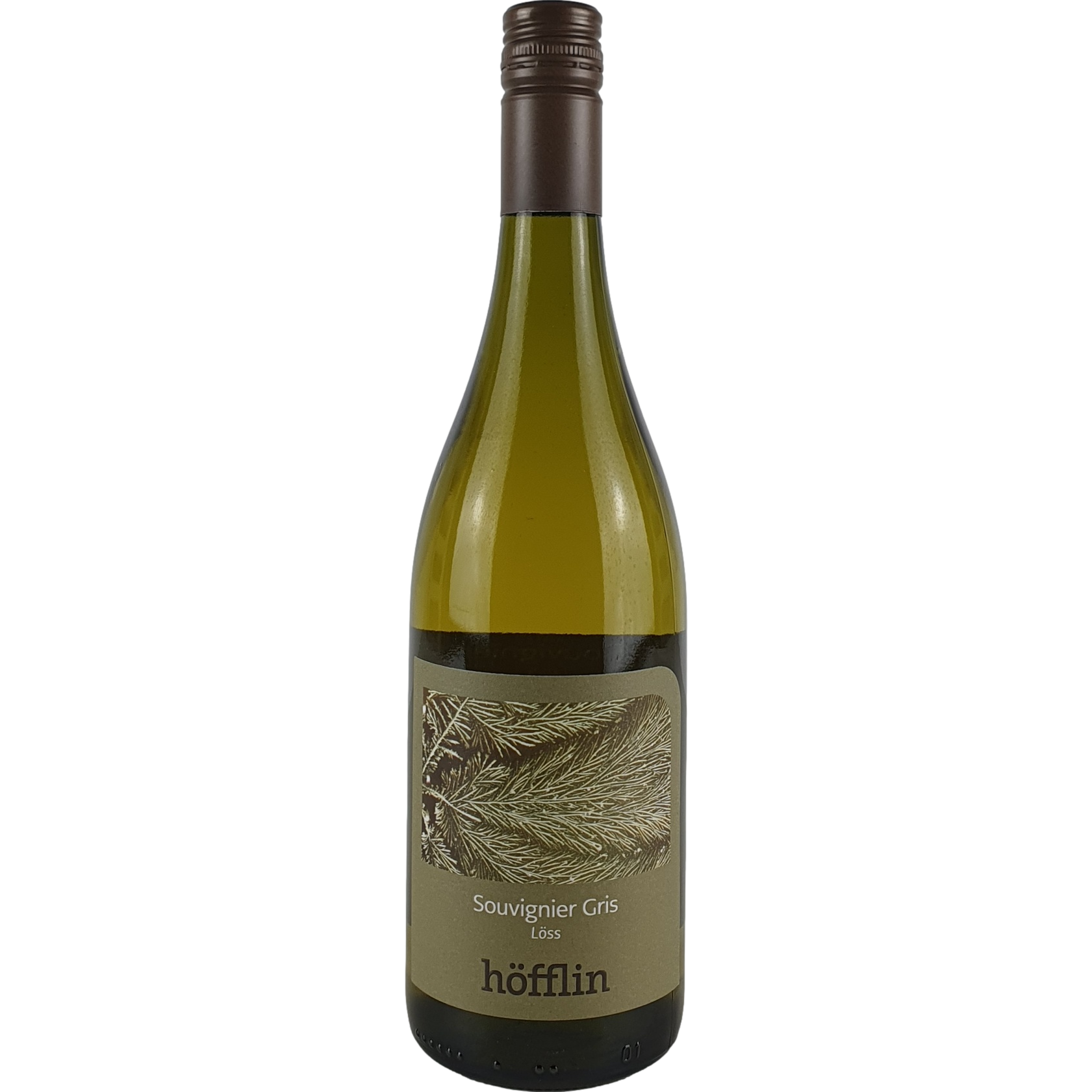 höfflin  Souvignier Gris  Löss   2023  - 0,75l GW001149